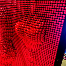 Dani in the Pink photo