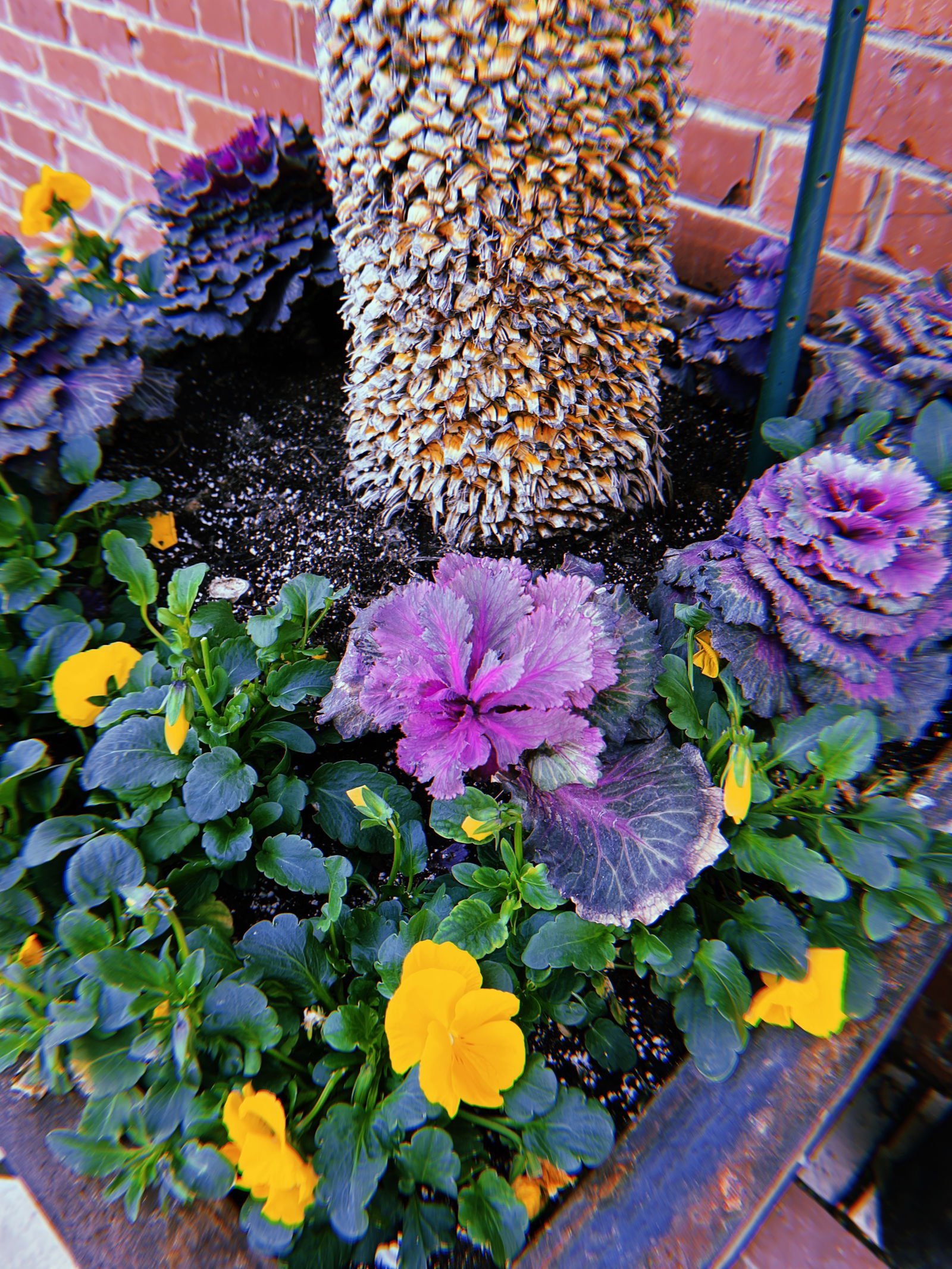 ArepitaQuesua 👅 photo