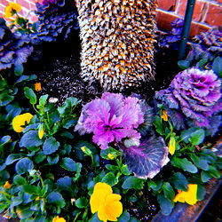 ArepitaQuesua 👅 photo