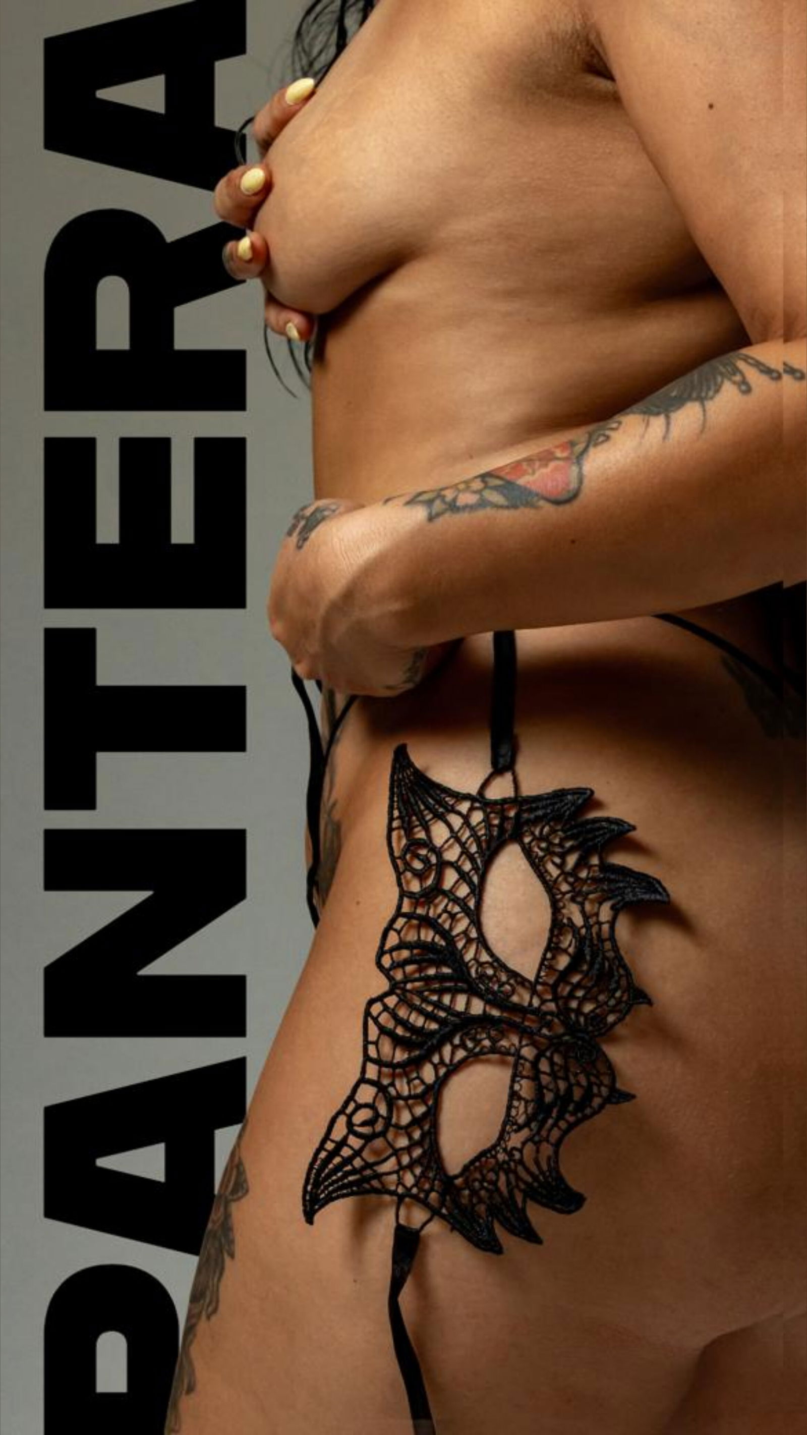 Pantera Moranguinho photo