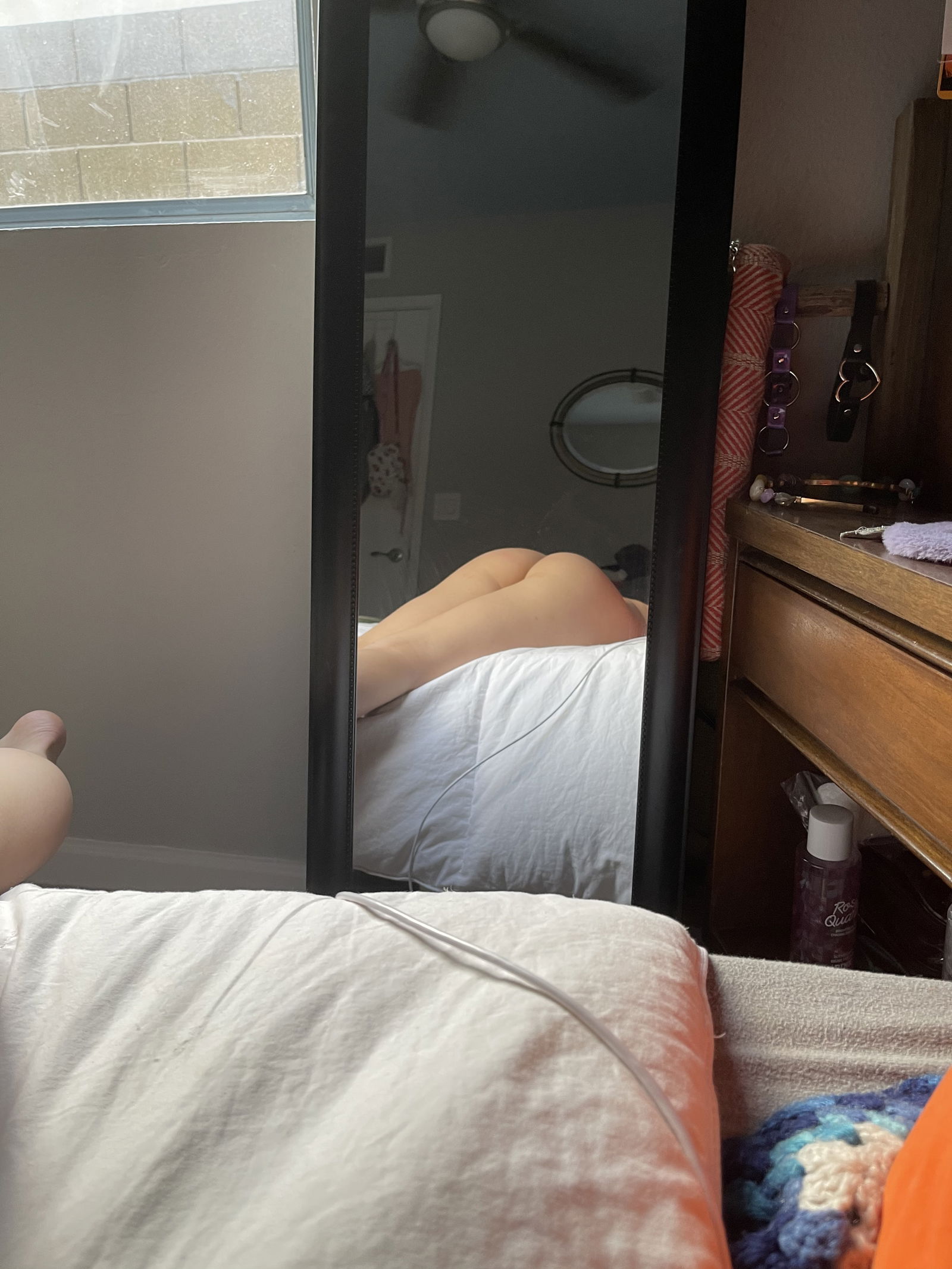 Lavender 🌸 Louis photo