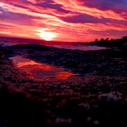 GiveMeYourBones photo