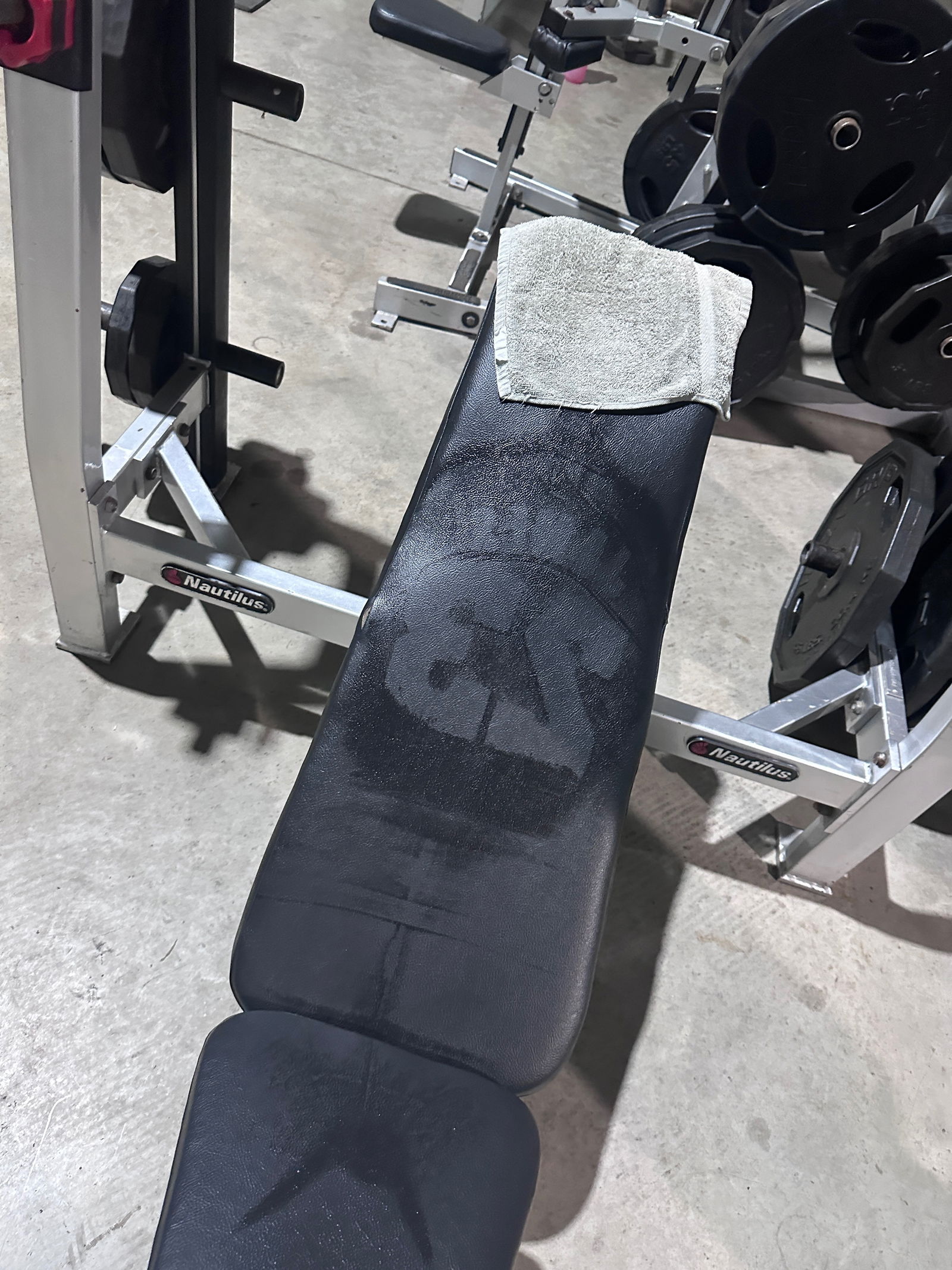 ⚜️ Charlie B ⚜️ photo