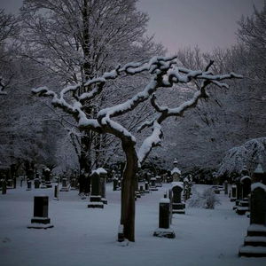 Ariel Morningstar photo