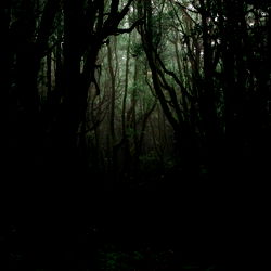 ✿ Yumi's body art ✿ photo