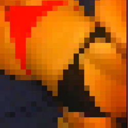 OnlyFans Model AriesMarie in a Bikini