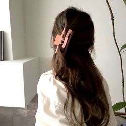 Fashionable Look with Metal Barrette