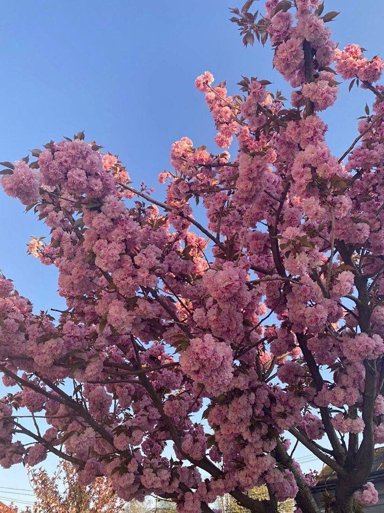 💓dreamyANNA💓 photo