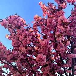 ๐dreamyANNA๐ photo