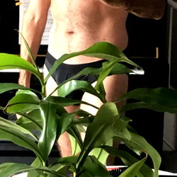 OnlyFans Portrait Guy - Shirtless Home Gym