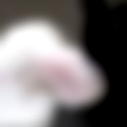 buns โห๐พห photo