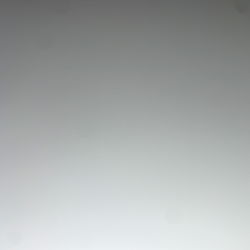 An OnlyFans Model, Adam