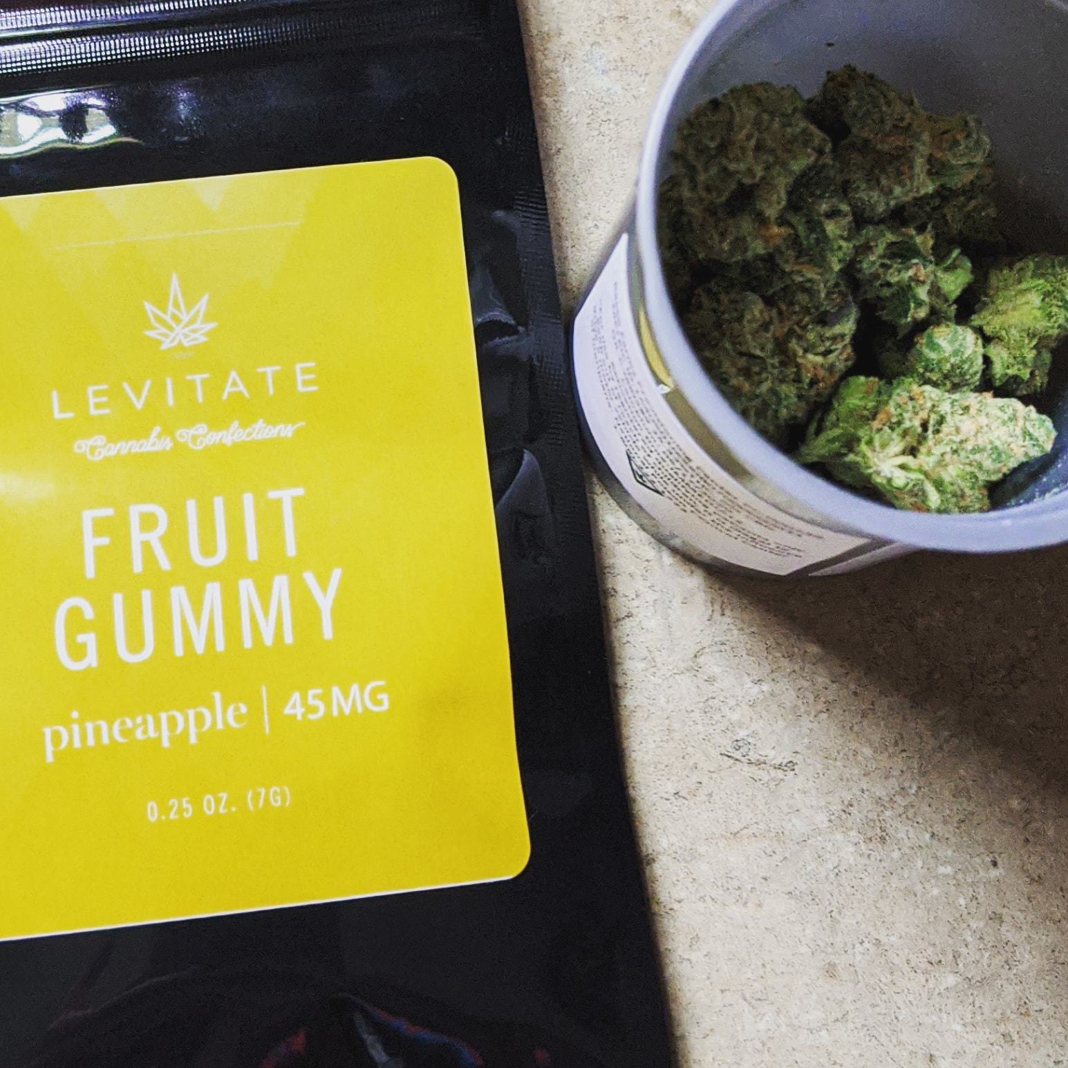 Ansleigh Rayne photo