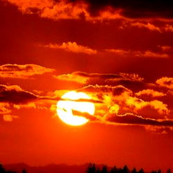 Vibrant Sunset Silhouette with Fluffy Clouds