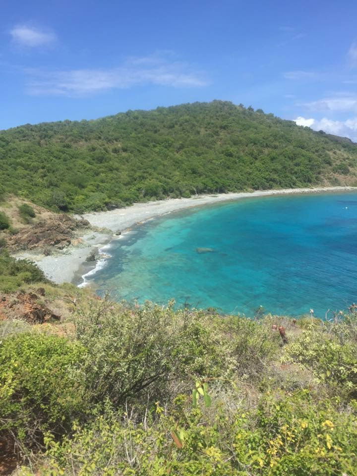 Average Kentucky Boys photo