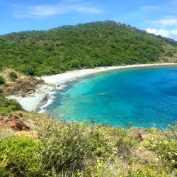 Average Kentucky Boys photo