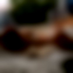 โจMimiโจ photo