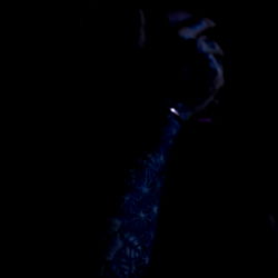 A FREAK ENCOUNTER photo