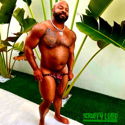 Scruffy Lobo in a Tropical Setting