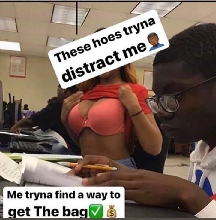 Arctic_unknown photo