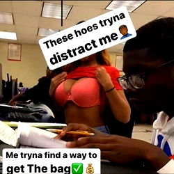 Arctic_unknown photo