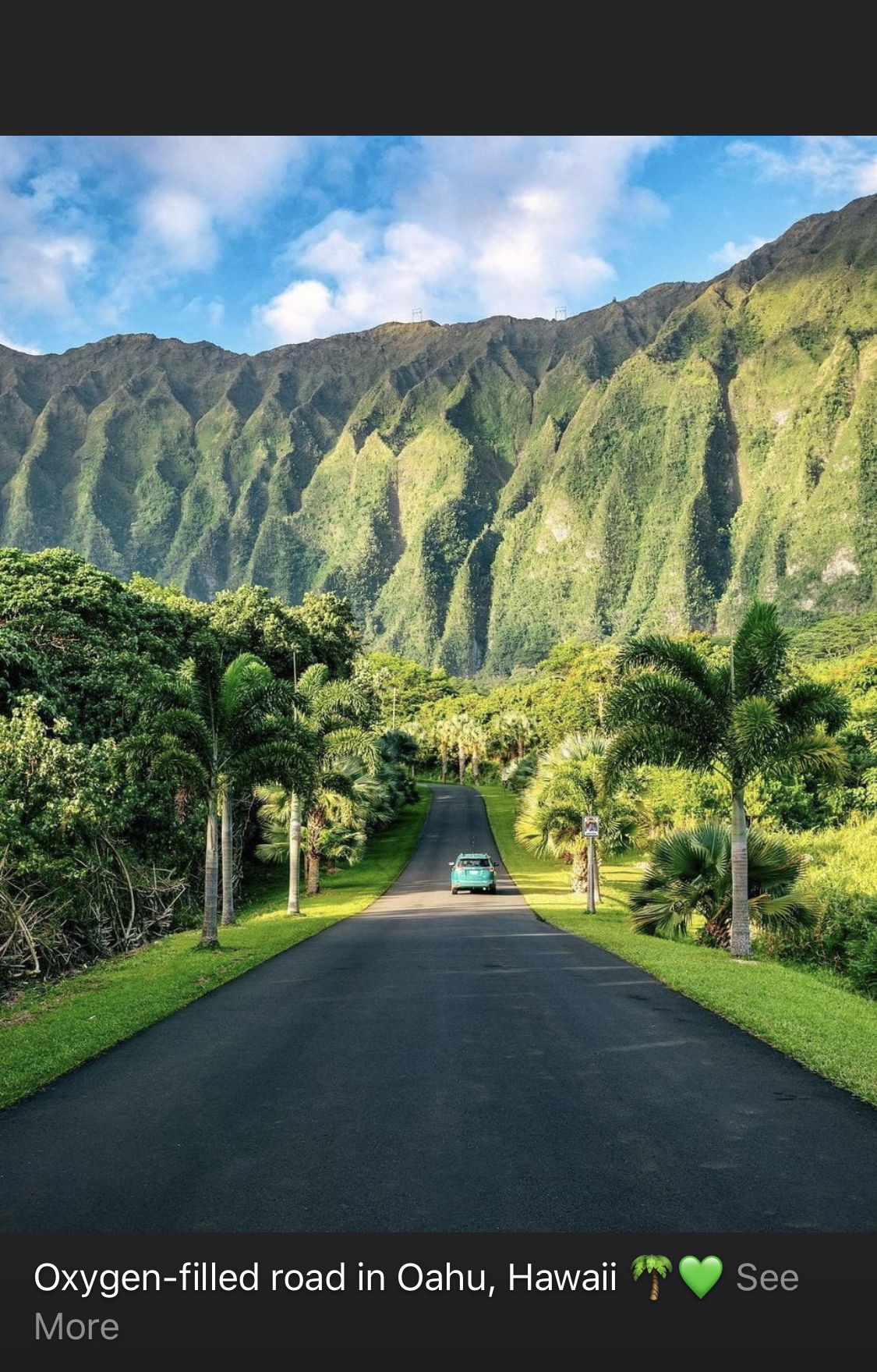 •𝔸𝕤𝕙𝕝𝕖𝕪 𝕃𝕒𝕦𝕣𝕖𝕟𝕒• photo