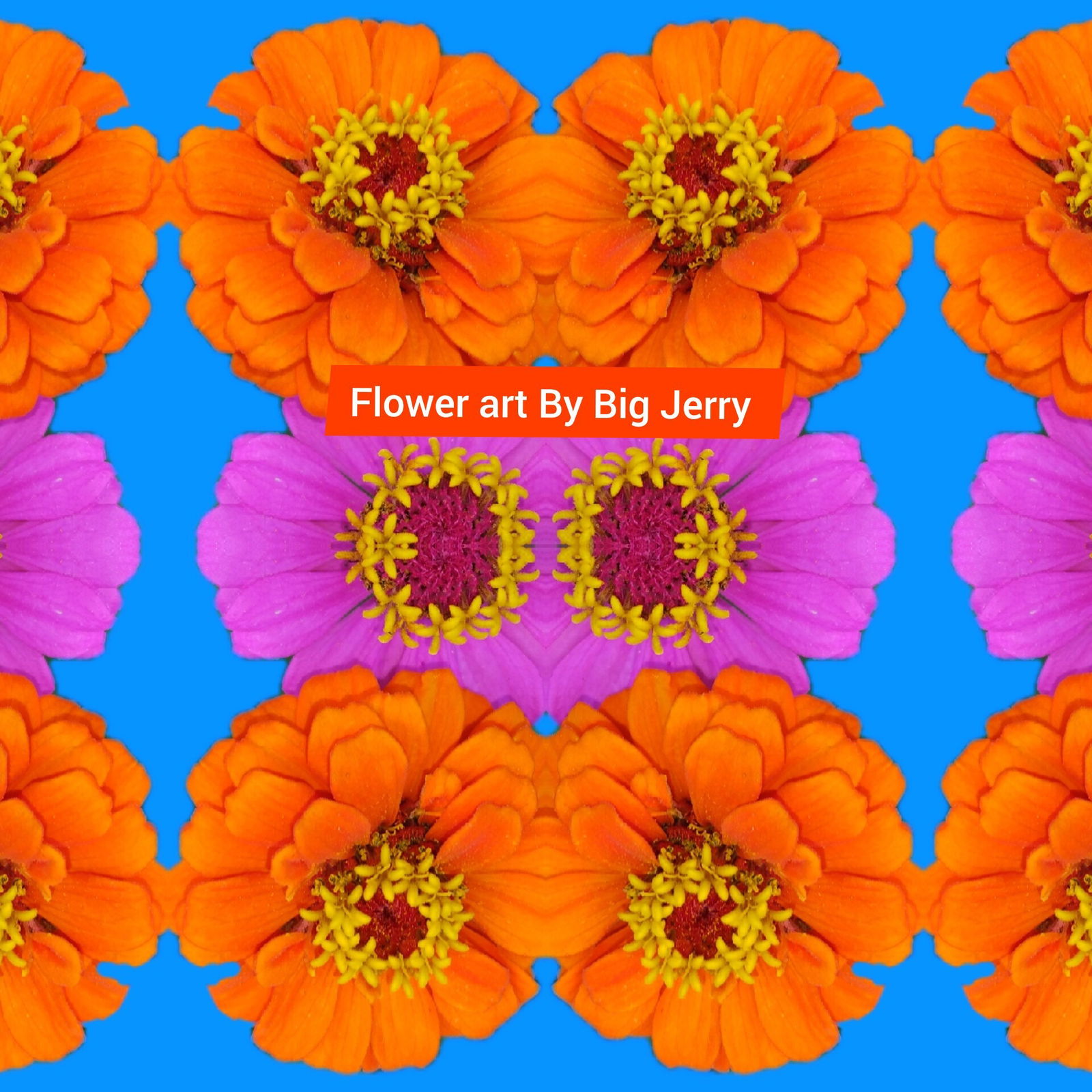 Big Jerry Visuals photo