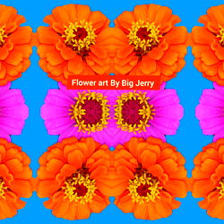 Big Jerry Visuals photo