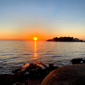 Alessio Luciani photo