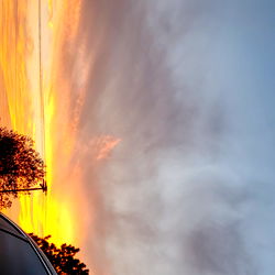 Big Dick Baddie photo