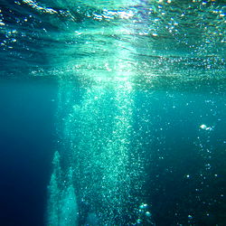 Astonishing Underwater Scene: A Diver's Perspective
