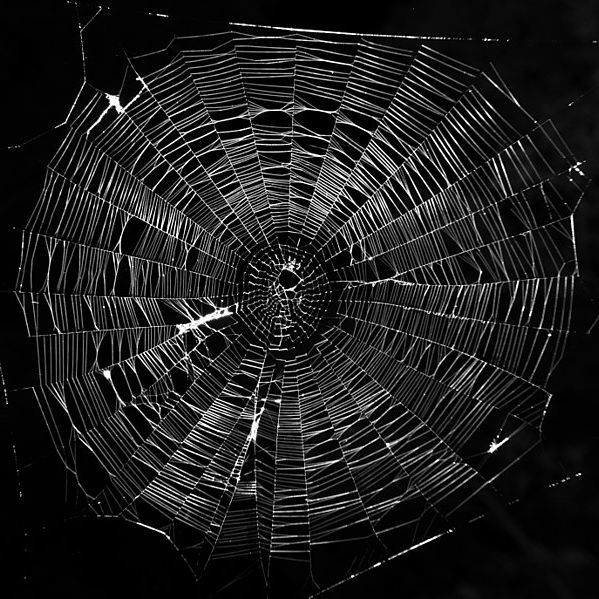 Iamtheliquor666 photo