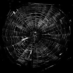 Iamtheliquor666 photo