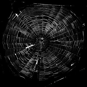 Iamtheliquor666 photo