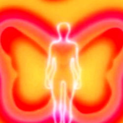 Vivid Imagery Artwork, 3D Butterfly and Person