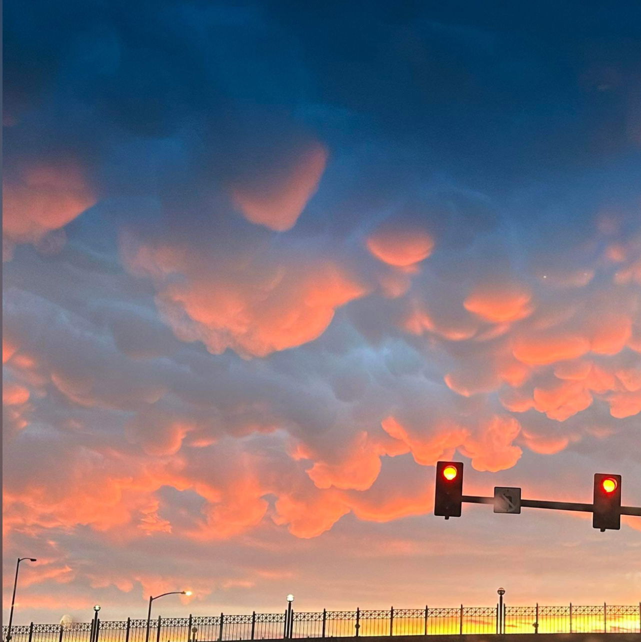 🔞AllyTheCat🔞 photo