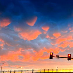 ๐AllyTheCat๐ photo