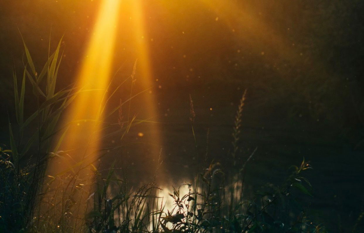 𝗔𝗹𝗲𝘅🌷 photo