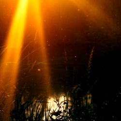 ๐๐น๐ฒ๐
๐ท photo