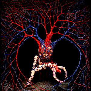 ๐๐๐๐ธ๐๐๐ฃ๐ ๐ป๐ ๐ photo