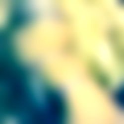 ๐Nikki Vengeance๐ photo