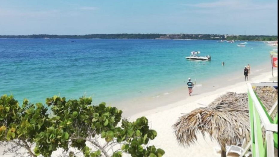 FREE GIRLS🍑 photo