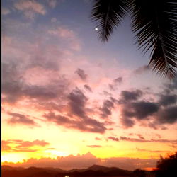 GenArt CR โค๐จ๐ท๐ท photo