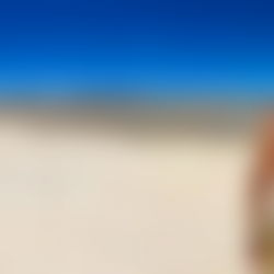 DennisXL ๐ฆ free photo