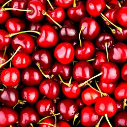 Queen Nephilim photo