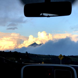 Alejandro meneses photo