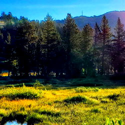 ❄SWEET BABY JAMES❄ photo