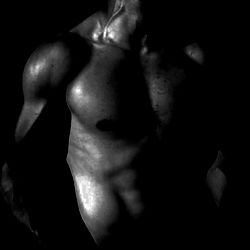 Dani Murillo Muscle Building Routine