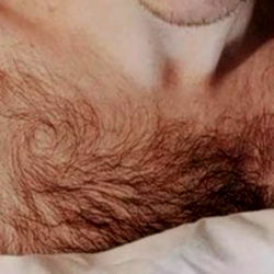 Bottom Teddy Bear photo