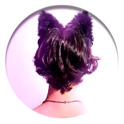 Stylized cat ears worn by individual